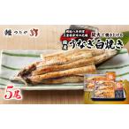 うなぎ 白焼き 炭火焼 うな丼