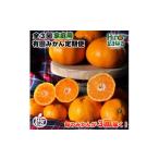 有田 みかん 定期便 温州みかん 有田みかん