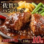 佐賀牛デミハンバーグ真空個包装 10個
