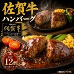 佐賀牛ハンバーグ デミ プレーン 12個