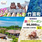 日本旅行 地域 旅行クーポン90,000円分