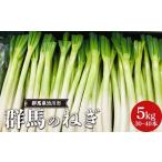 群馬のねぎ 5kg