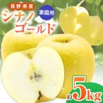 シナノゴールド 約5kg