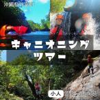 西表島 森林浴キャニオニングツアー 小人1名分