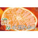 訳あり品 温州みかん おてんば娘 10kg