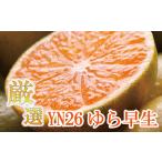 プレミアム 有田 みかん ゆら早生 10kg+250g