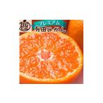 鹿蔵の有田 みかん プレミアム 完熟 1kg+250g