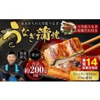 1日10セット 海水育ちの天草藍うなぎ