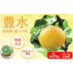 ふるさと納税 【先行予約】最高級 蔵王の梨 豊水 約5kg 特秀・大玉 【04301-0716】梨 なし 果物 くだもの スイーツ フルーツ デザート 甘い ジ.. 宮城県蔵王町