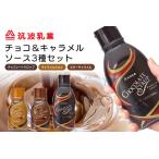 チョコレート キャラメルソース 3本