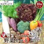 No.063 野菜セット 10種以上