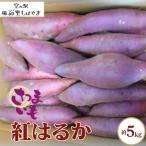 No.067 サツマイモ箱 紅はるか 約5kg