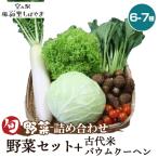 No.061 野菜セット 7~8種