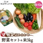No.071 野菜セット 9~10種 +米3kg