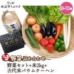 No.068 野菜セット 5~6種 +米2kg
