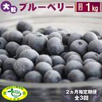 No.052 大粒冷凍ブルーベリー1kg