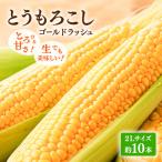 とうもろこし 富良野産 ゴールドラッシュ