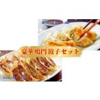 豪華鳴門餃子セット 鳴門 らっきょう れんこん