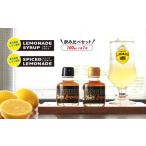 レモネード シロップ 飲み比べ セット100ml 各1本