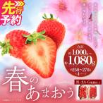 春のあまおう 2L