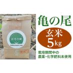 亀の尾 5kg