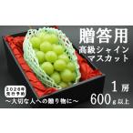 ふるさと納税 【令和８年度先行予約】贈答用！希少価値の高い高級シャインマスカット（１房 ６００ｇ以上）　シャイン シャインマスカット マ.. 山梨県富士川町
