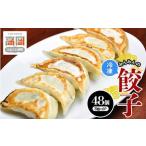 ふるさと納税 みんみんの餃子48個 （8コ×6パック） 餃子専門店 みんみん みんみん餃子 ギョーザ ぎょうざ ギョウザ 富山 惣菜 おかず 中華 .. 富山県高岡市