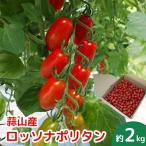 亮麻農園 イタリアントマト ロッソナポリタン 2kg