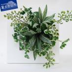 高品質造花のインテリアグリーン