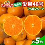 訳あり 愛果48号 紅プリンセス と同品種 5kg