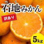 訳あり みかん 柑橘 糖度が高く濃厚 石地みかん