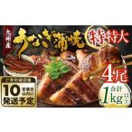 ふるさと納税 九州産 うなぎ蒲焼 特特大4尾 (1尾あたり250〜266g) 合計：1kg以上【順次発送】 福岡県北九州市