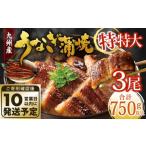 ふるさと納税 九州産 うなぎ蒲焼 特特大3尾 (1尾あたり250〜266g) 合計750g以上【順次発送】 福岡県北九州市