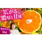 伊木力みかん5kg 岩永農園