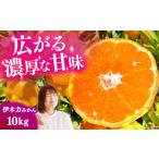 伊木力みかん10kg 岩永農園