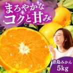 青島みかん5kg 温州みかん