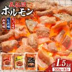 ホルモン 味つき 気仙沼ホルモン ちょい辛味