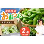 特産 枝豆2kg 1袋500g×4袋 ビールやお酒の
