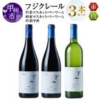 ワイン フジクレール 吟果マスカット ベーリーA