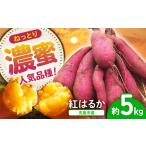 島の元気なさつまいも ねっとり甘い 紅はるか 5kg