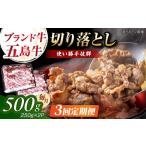 五島牛 切り落とし 500g