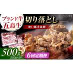 五島牛 サーロインステーキ500g 250g×2枚
