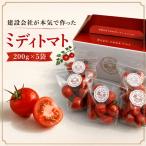 霧の恵 ミディトマト 甘み 旨みのバランスがよく