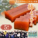 キズ柿をつかった柿ようかん 5個入り
