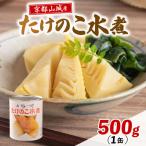 たけのこ 水煮缶 500g