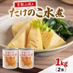 たけのこ水煮缶 1kg