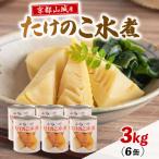 たけのこ水煮缶 3kg