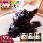 ジャム セット 570g