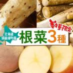 根菜 3種