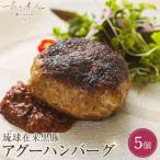 島cuisine あーすん 琉球在来黒豚